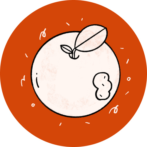 Geometry in the Real World