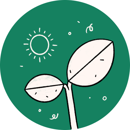 Nelson Mandela Biography Powerpoint