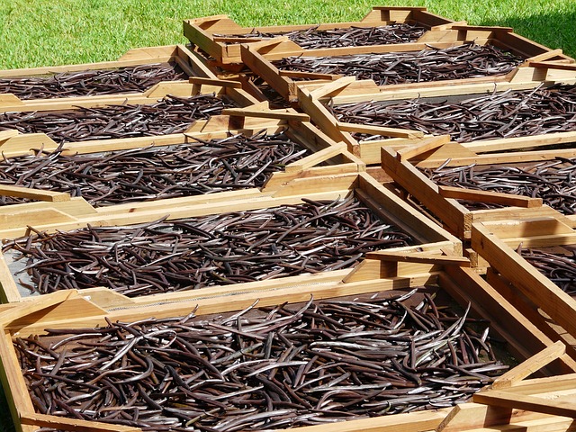 Understanding the Vanilla Shortage