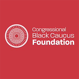 Pair of ACEs: Adverse Childhood Experiences and Adverse Community Experiences Webinar