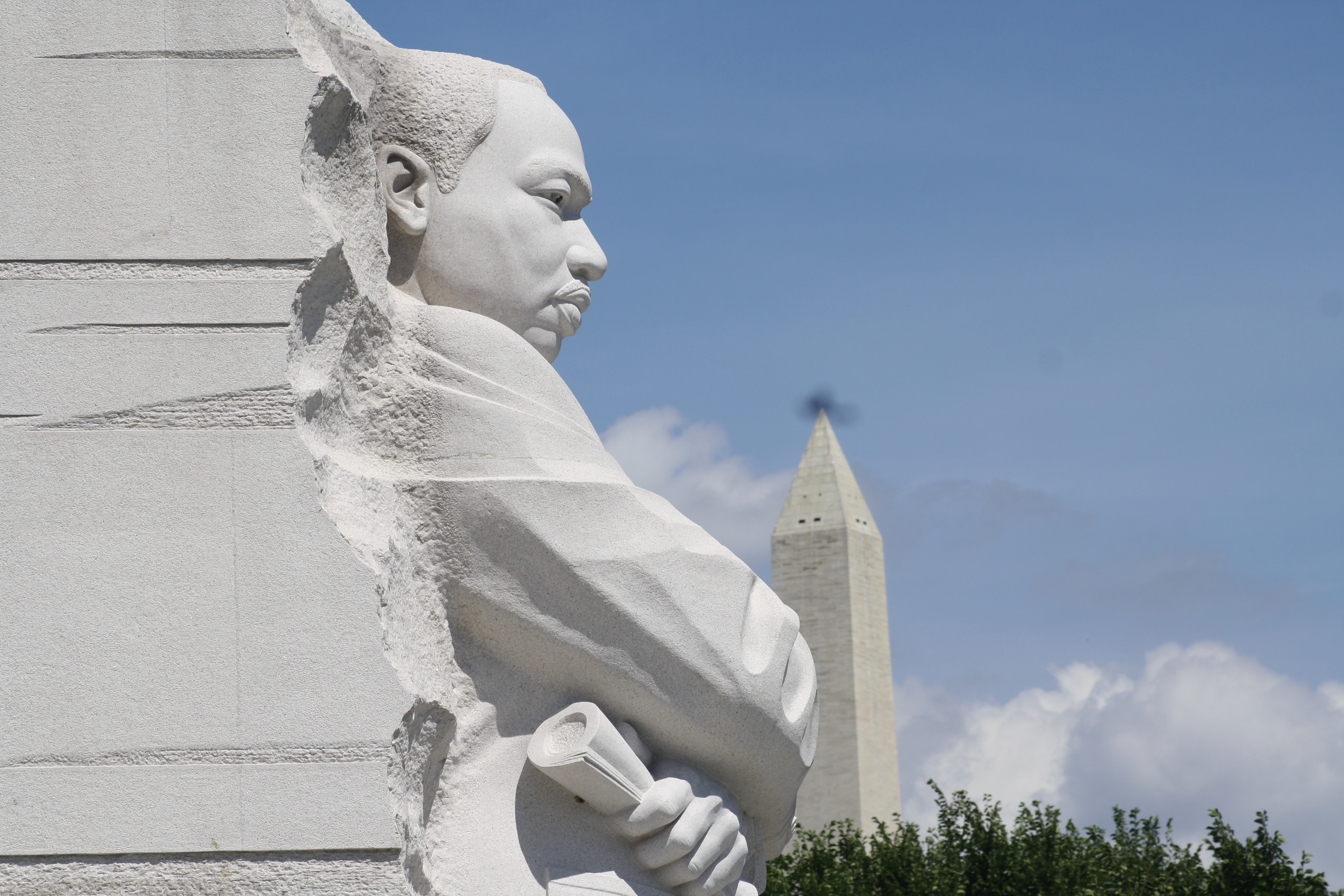 Martin Luther King Jr.: Understanding a Life and Legacy