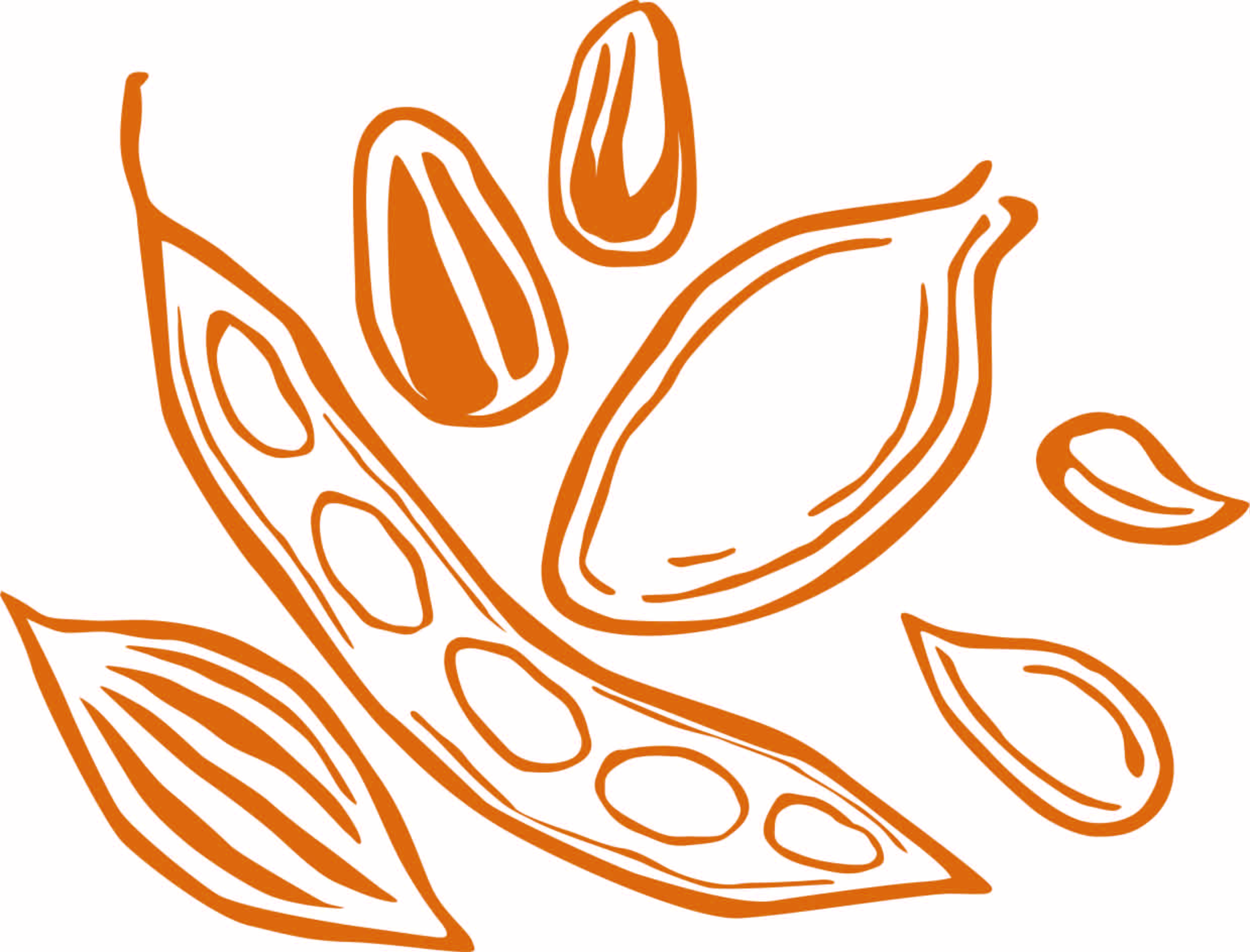 Family Food Traditions