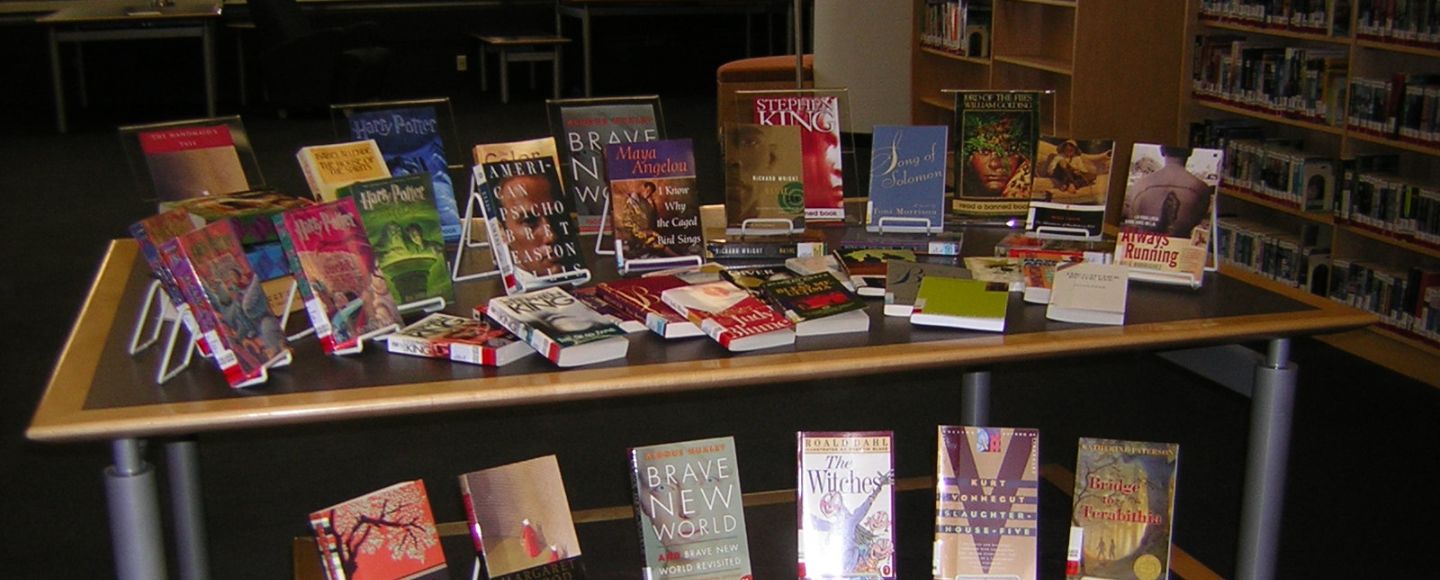 Librarians Push Back Against Book Bans
