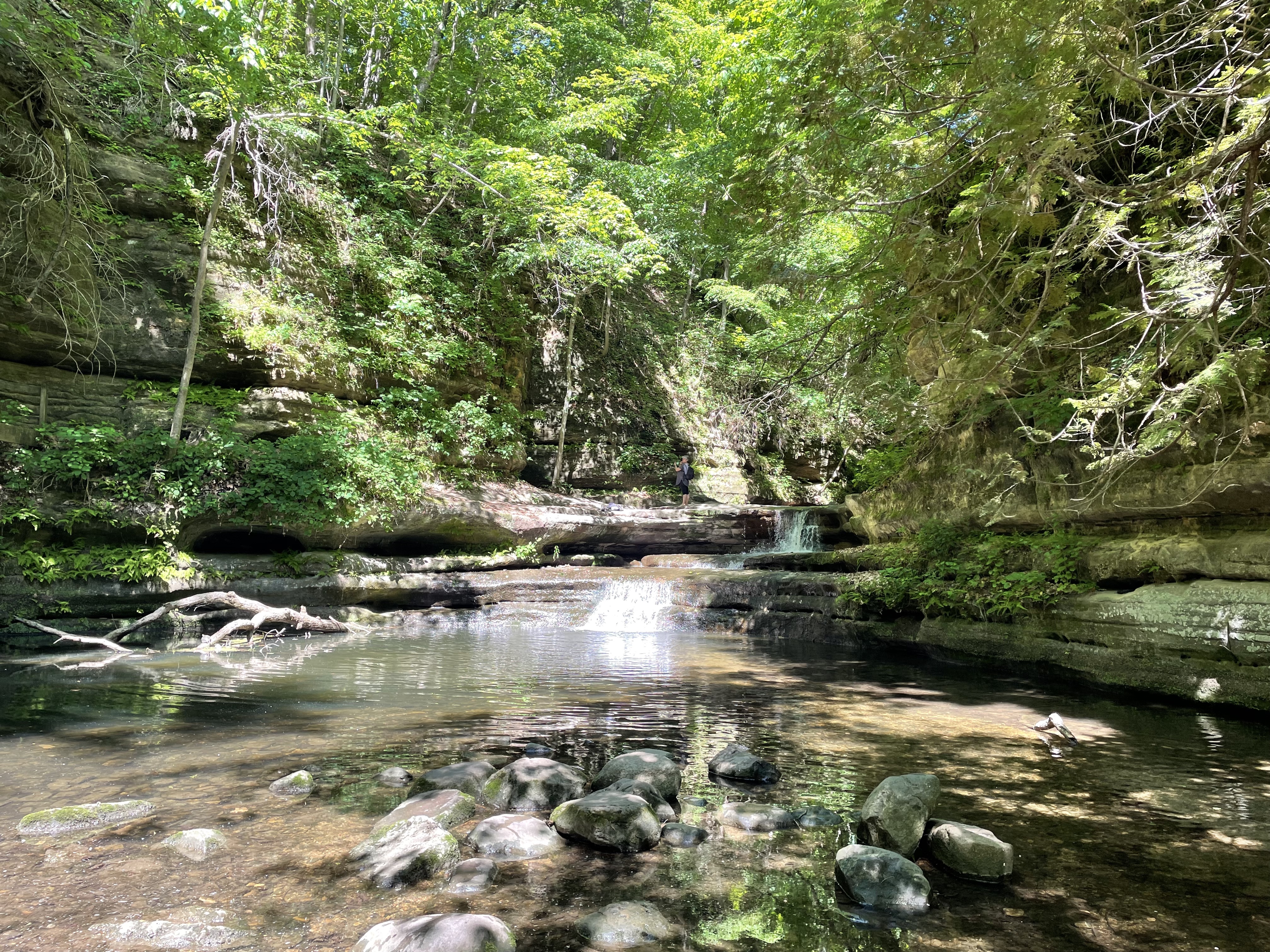 Teachers: Keep Your Bucket Filled Throughout the Year