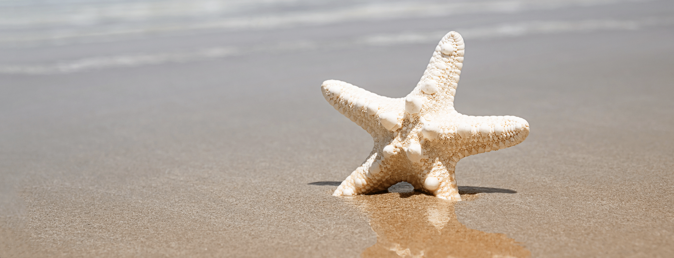 Making a Difference: Who Is Your Starfish?