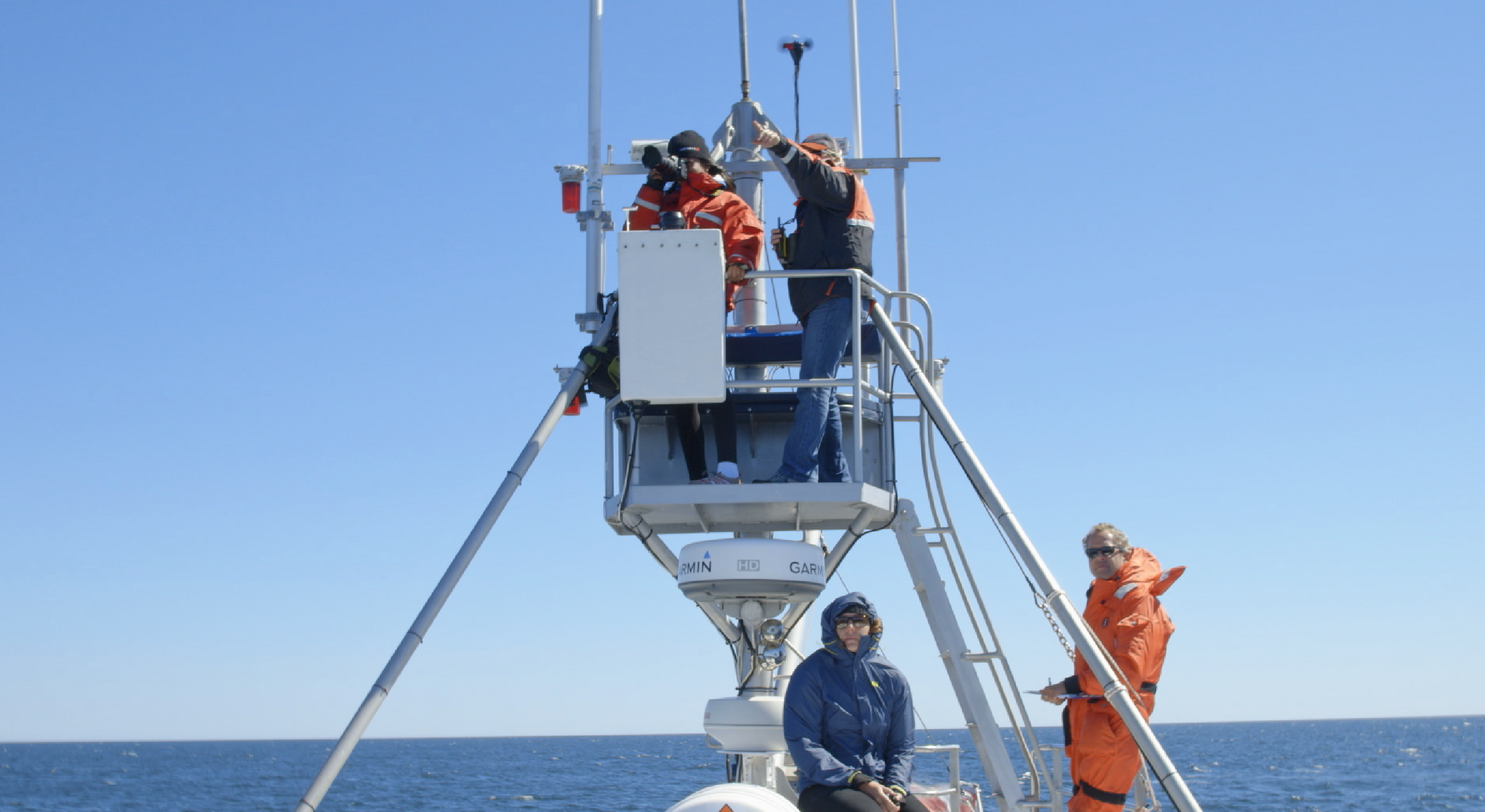 Field research techniques: List the pros/cons of using photos to identify whales