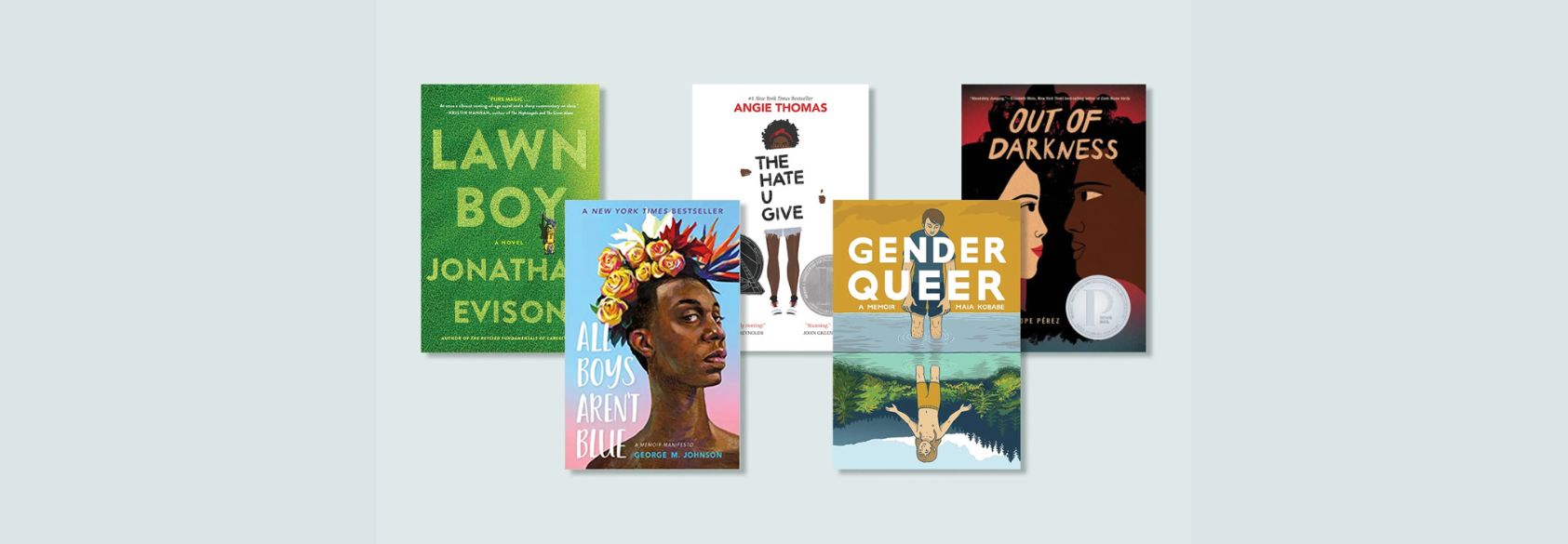 Book Bans in Schools and Libraries