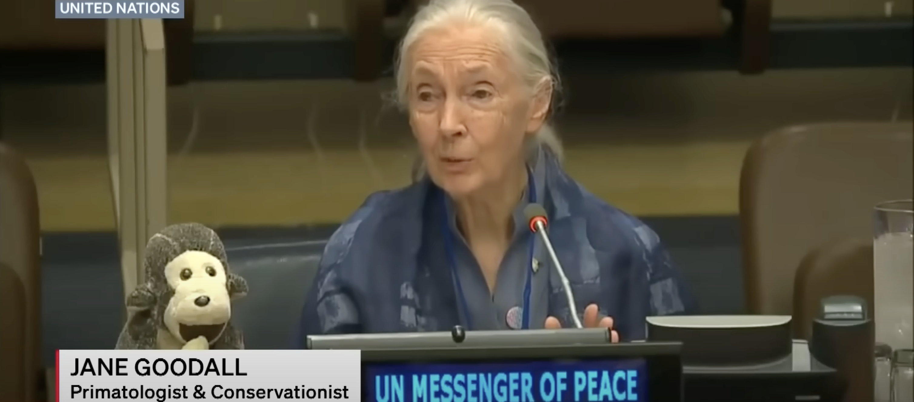 Remembering Primatologist and Conservationist Jane Goodall