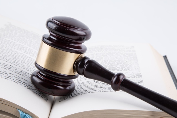 Judicial Review and Current Cases