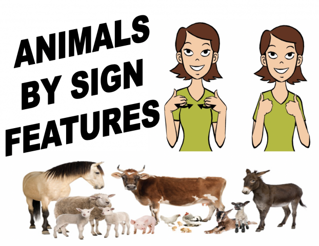 Sign Language animals based on characteristics