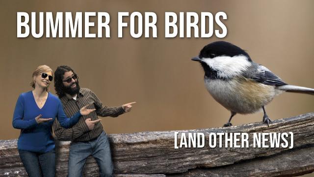 4 Awesome Discoveries You Probably Didn’t Hear About This Week - Episode 18