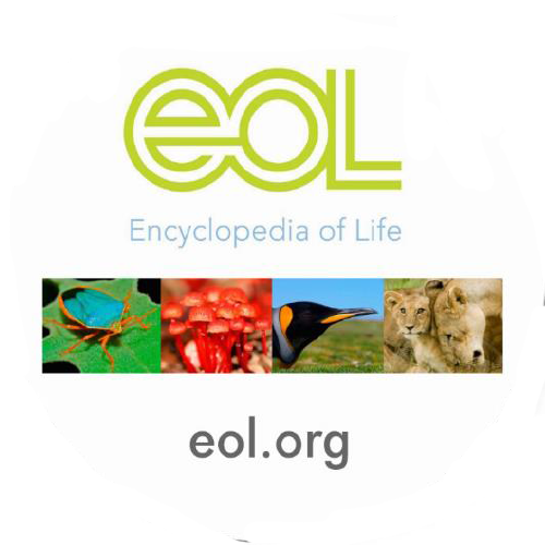 Understanding Behavioral and Physical Adaptations