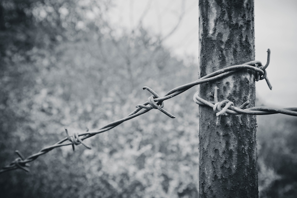 Passage to Freedom Sugihara Story - Teachers Guide