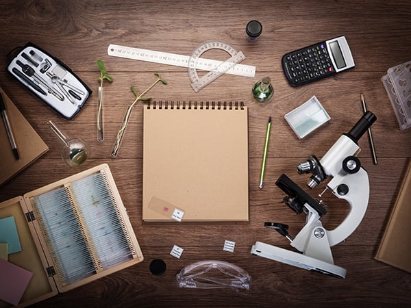 Are These Chemical Reactions Good or Bad?